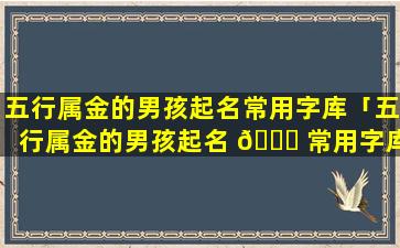 五行属金的男孩起名常用字库「五行属金的男孩起名 🐅 常用字库 🌾 有哪些」